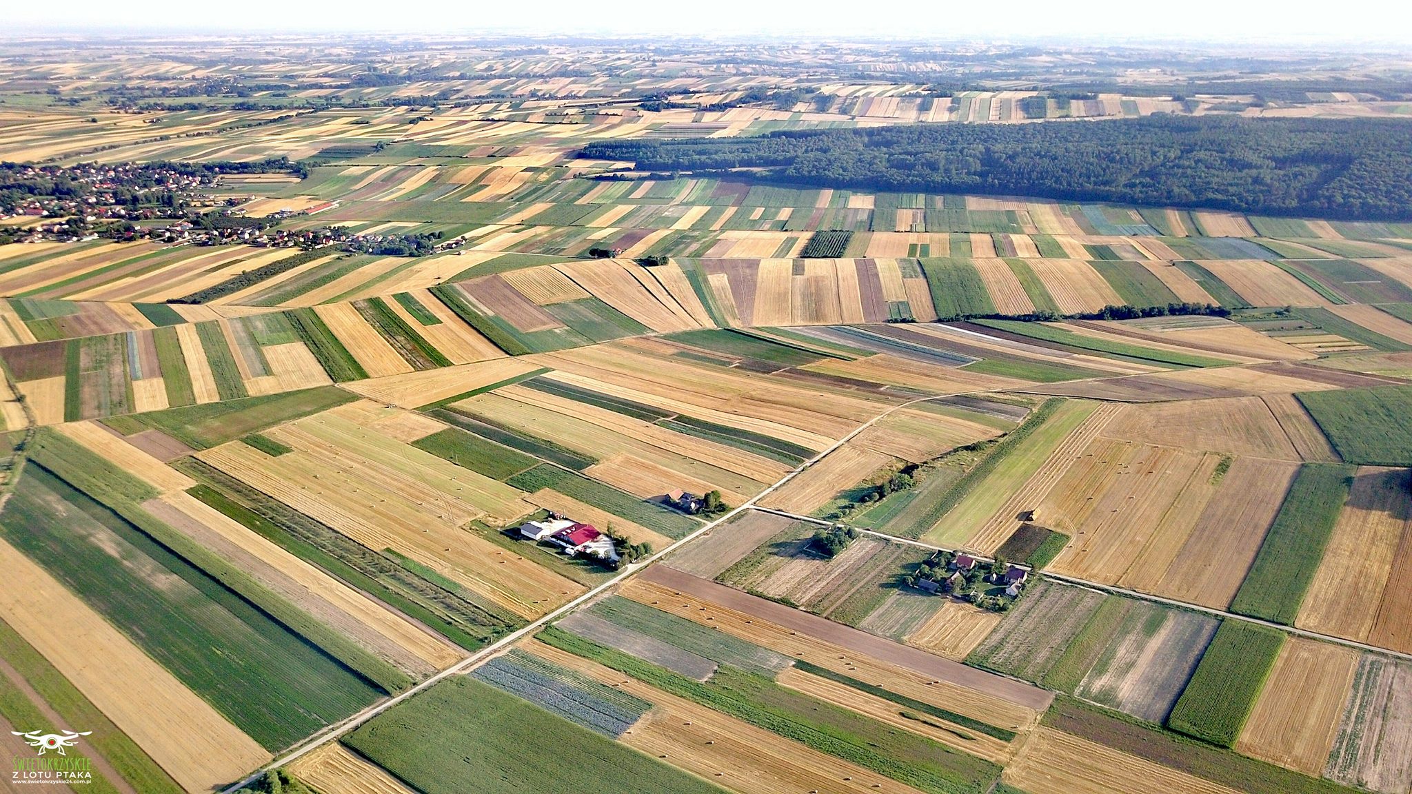 Výrobní závod AGROPOLE – sušená zelenina, bylinky, koření